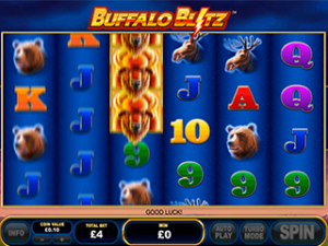 Buffalo Blitz